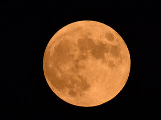 Fototapeta premium Full Orange color Moon