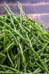 Tasty vegetarian sea food, fresh raw green salicornia or glasswort, pickleweed