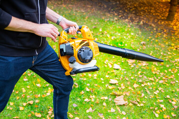 Using a cordless leaf blower in a garden. Cleaning a lawn.