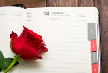 Kalendarz 14 lutego - Walentynki © shake_pl
