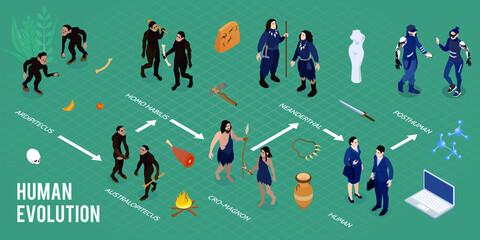 Human Evolution Isometric Infographics