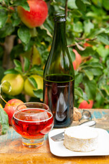 Taste of Normandy, France, glass of apple cider and camembert cheese and green apple tree with ripe red fruits on background