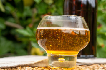 Glass of apple cider from Normandy, France and green apple tree with ripe red fruits on background