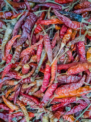 Fresh vegetables in the market