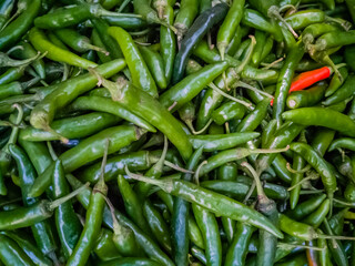 Fresh vegetables in the market