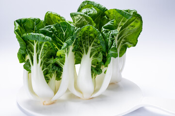 Young white bok choy or bak choi Chinese cabbage