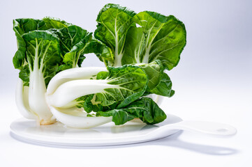 Young white bok choy or bak choi Chinese cabbage