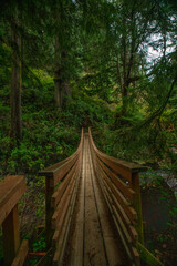 Wooden foot bridge over stream in Oregon wooded coastal forest