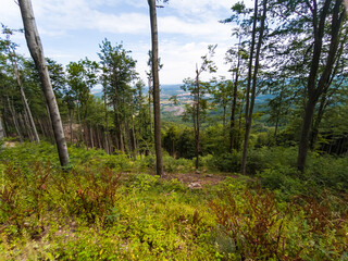 The trail to the Chelmiec Mountain - Walbrzych City - Poland