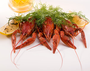 Crayfish boiled on a dish with dill spices and lemon.