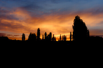 Scenary view of silhouettes of trees at dusk on a beautiful sunset with clouds.