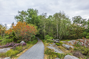 Landscape on Vrango Island. Vrango is the southernmost inhabited island in the Southern Gothenburg Archipelago. Sweden.