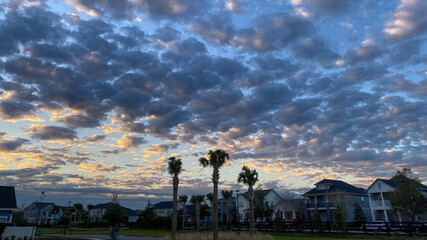 Sunrise with palm trees in a neighborhood