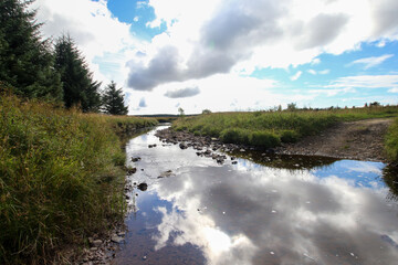 river in the Kielder forest northumberland
