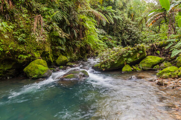 Creek near Mount Talinis, Negros island, Philippines