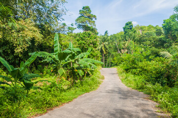 Country road on Siquijor island, Philippines.