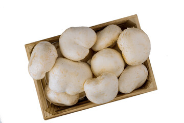 Champignon white mushrooms isolated on white background.