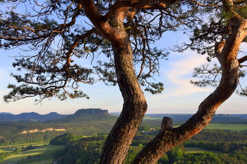 Ausblick von der Bastei zum Lilienstein