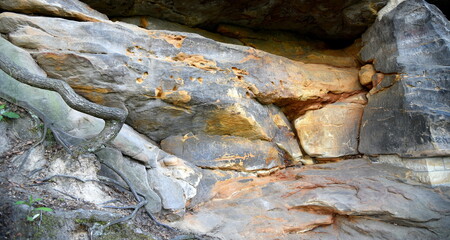 Sandsteinfelsen im Osterzgebirge