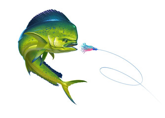 Mahi mahi or dolphin fish on white Bait Sea Octopus Skirt. Realistic illustration of mahi-mahi or dolphin fish on white background isolate. © Konstantin Gerasimov