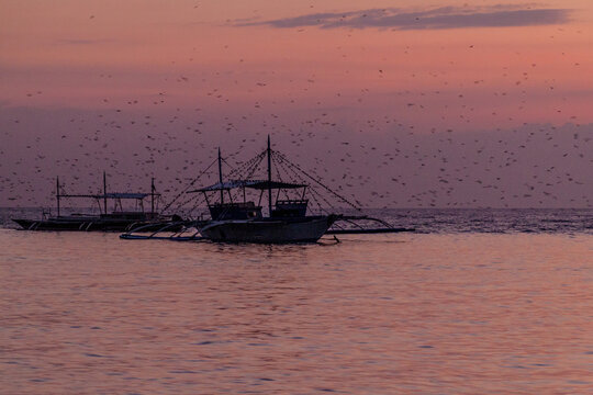 Silhouettes of boats in Moalboal, Cebu island, Philippines