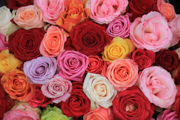 Naklejka premium Mixed wedding roses