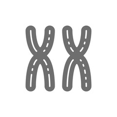 Female XX chromosomes, woman sex, genes grey icon.