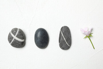Spa stones and fresia flower on white table, flat lay