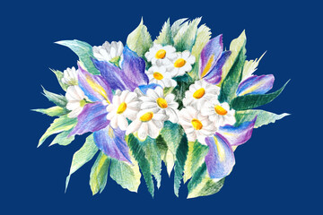 Obraz premium Summer meadow iris and daisy flowers on blue background isolated