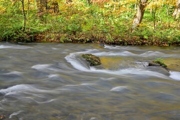 晩秋の奥入瀬渓流の黄葉情景＠青森