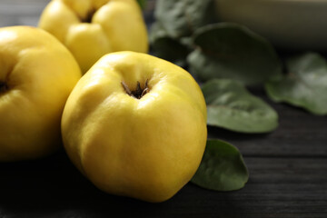 Fresh ripe organic quinces with leaves on black wooden table, closeup