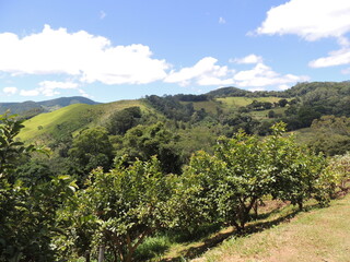 Beleza pura