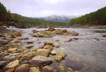 Stones on the Bank of Katun