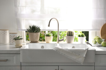 Beautiful potted plants on countertop near window in kitchen
