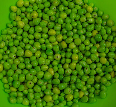 alverja verde