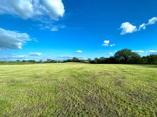 Freshly cropped field, with trees in the far distance near, Long Preston, Skipton, UK