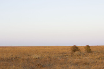 Autumn landscape steppe. prairie, veld, veldt. a large open area of grassland, open, uncultivated country or grassland