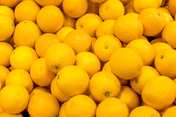 A pile of oranges for sale in the market