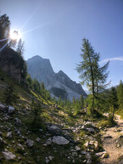 Hiking with roots and stones close to mountain pass. Kranjska Gora, Slovenia, Julian Alps, Soča,...