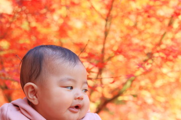 秋の紅葉と母親に抱っこされる赤ちゃん