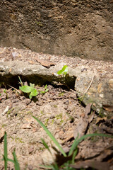 Edge of a Concrete Slab