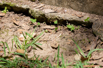 Edge of a Concrete Slab