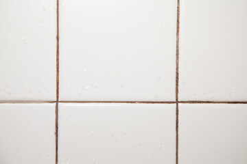 Shower Tiles