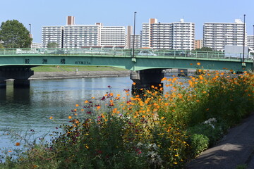 品川 No.14 八潮橋