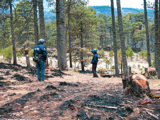 Un recorrido de reconocimiento después de in incendio forestal en las montañas mexicanas. 