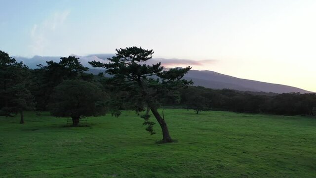 제주 한라산이 보이는 목장의 멋진 절경