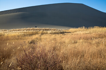 Simple landscape picture of Crescent moon and Echo Sands, Dunhuang, Gansu Province, China.