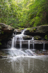 Small cascade waterfall in rainforest area.
