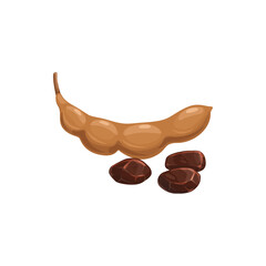 Tamarind fruit, tropical exotic food, vector isolated icon. Tamarind fruit seeds and pods, exotic fruits dessert and fruity sweets ingredient, tropic farm garden plants ripe harvest