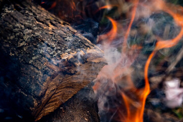 Smoke and burning wood close-up in outdoor campfire